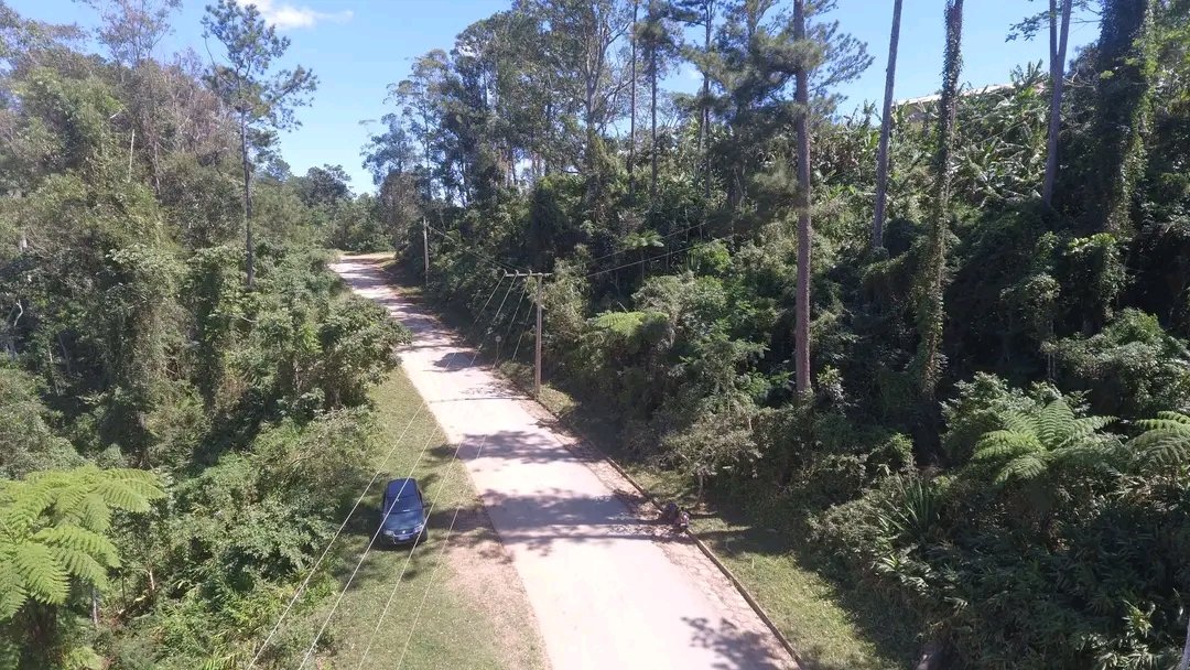 Iniciamos la semana y el mes de diciembre con este trabajo que viene de la mano del ministro del transporte <a href="/E_RdgzDavila/">Eduardo Rodríguez Dávila</a>. 
📍Carretera a Topes de Collantes, un vial necesario en la montaña
Ver👇🏼 
transportespirituano.cu/carretera-a-to…