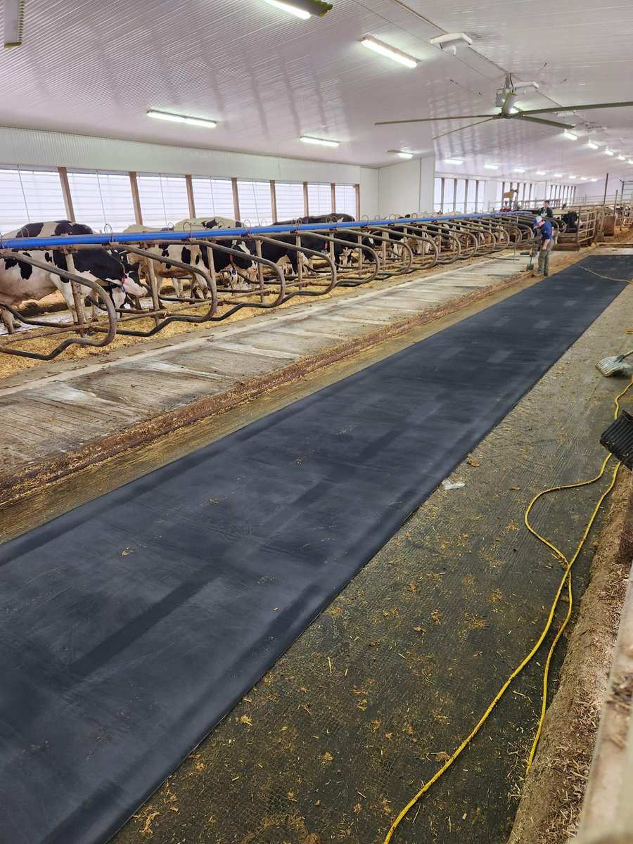 Promat Inc. tweet media