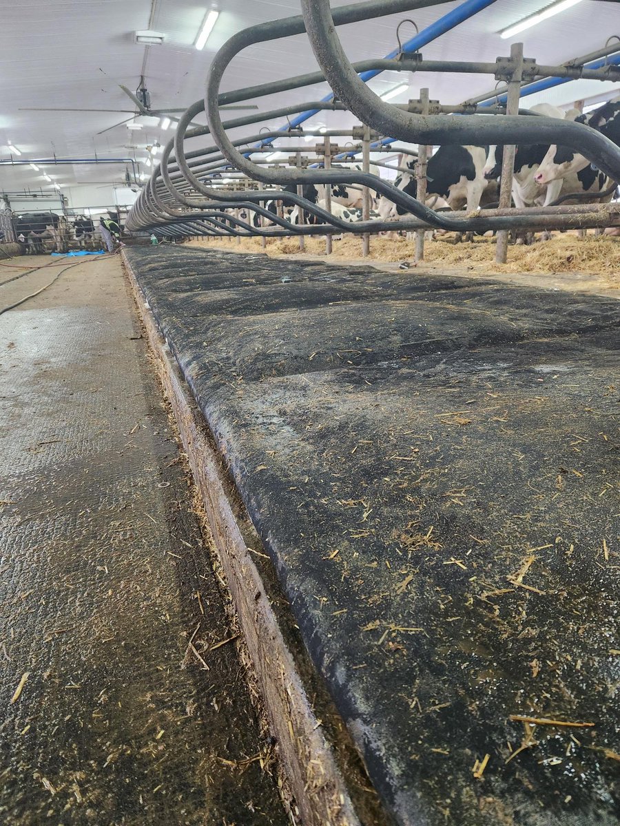 Promat Inc. tweet media