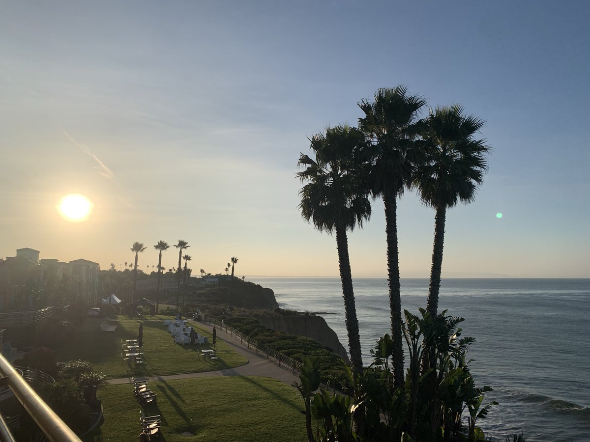 🌴 GM GM 🌞

Sunrise over the Pacific, palm-tree silhouettes, cliffside lawn still empty, the ocean glowing soft gold. Pure Southern California morning bliss. ☀️🌴🌊 #LivingTheDream #SunriseViews #Cali
