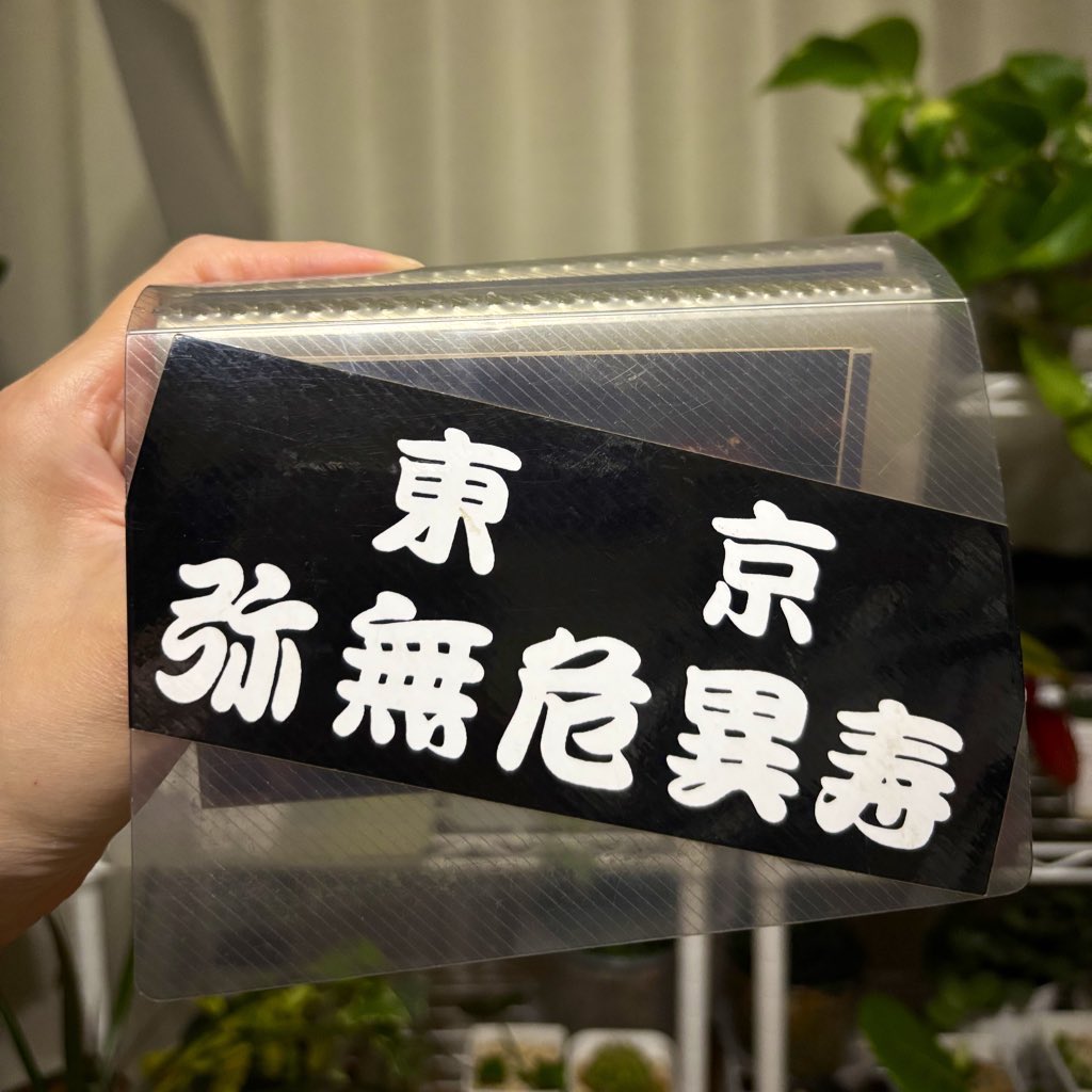 ayu_ms's tweet image. 12月2日。
大好きだったUMEちゃんの誕生日。
昔撮った写真をパラパラめくっていたら、EXTASY RECORDSの無敵タトゥーシールが出てきた！懐かしいなぁ🥹