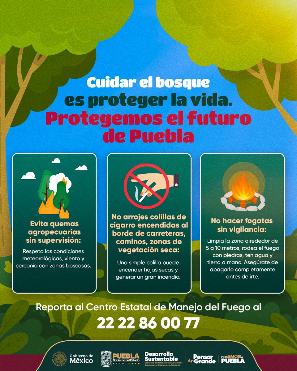 🌳❤️ ¡Cuidar el bosque es proteger la vida!

En el <a href="/Gob_Puebla/">Gobierno de Puebla</a> trabajamos por la conservación de los ecosistemas, prevenir #IncendiosForestales es tarea de todas y todos.

🚫 No quemes basura o pasto seco
🚫 No arrojes colillas de cigarro a orilla de carretera
🚫 Evita quemas