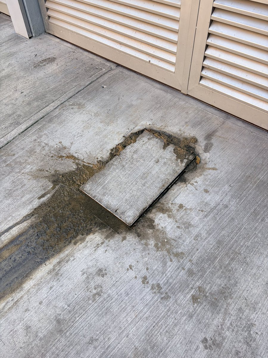 Beti_MB's tweet image. @BlindarBJ @BJAlcaldia @LuisMendozaBJ @AccionesBJ @SSC_CDMX @UCS_GCDMX @En_laDelValle @SOBSECDMX 
urge desazolve de la coladera ubicada sobre San Borja y Av. Coyoacán ya que está derramando aguas negras causando un foco de infección. Lleva un mes así y no viene nadie a resolver.