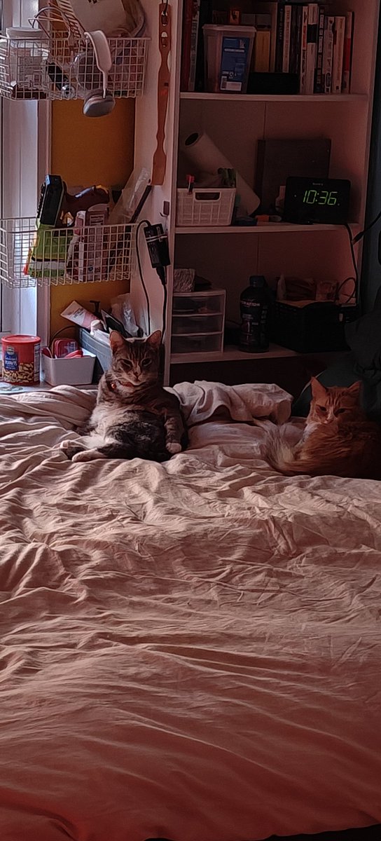 rajivness tweet media