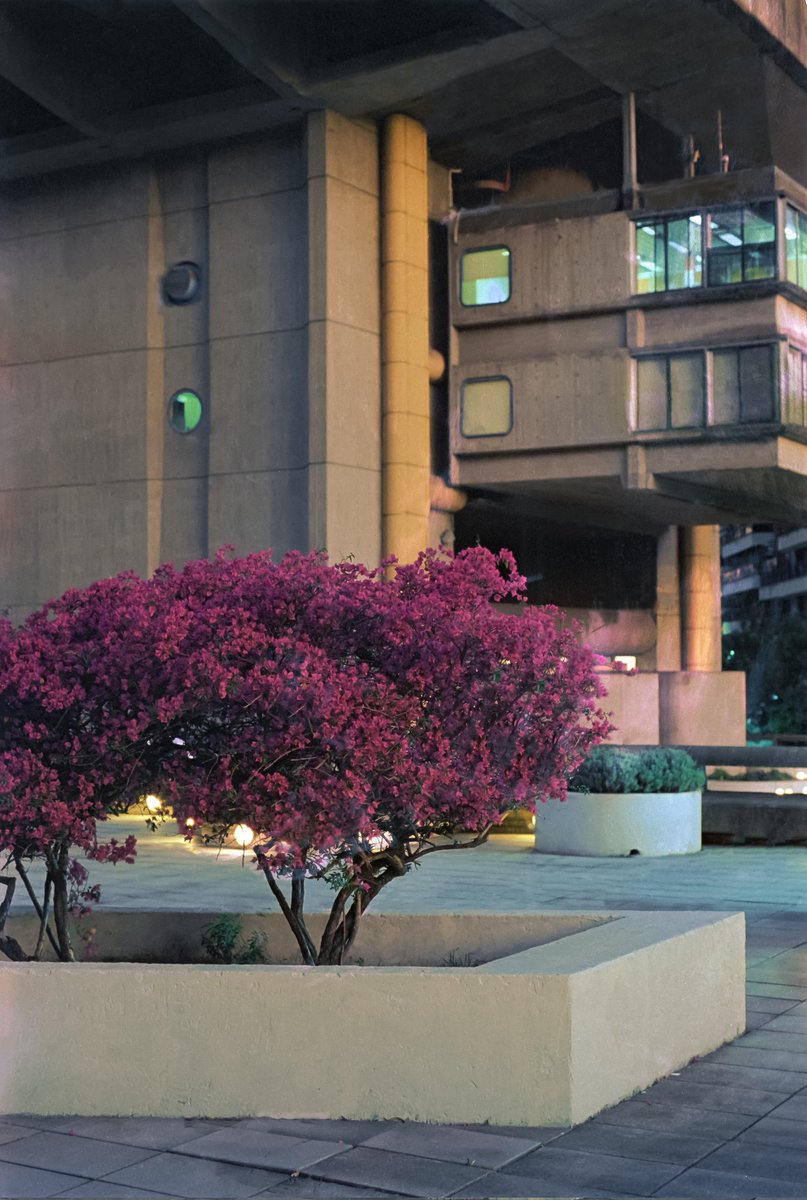 biblioteca nacional
35mm