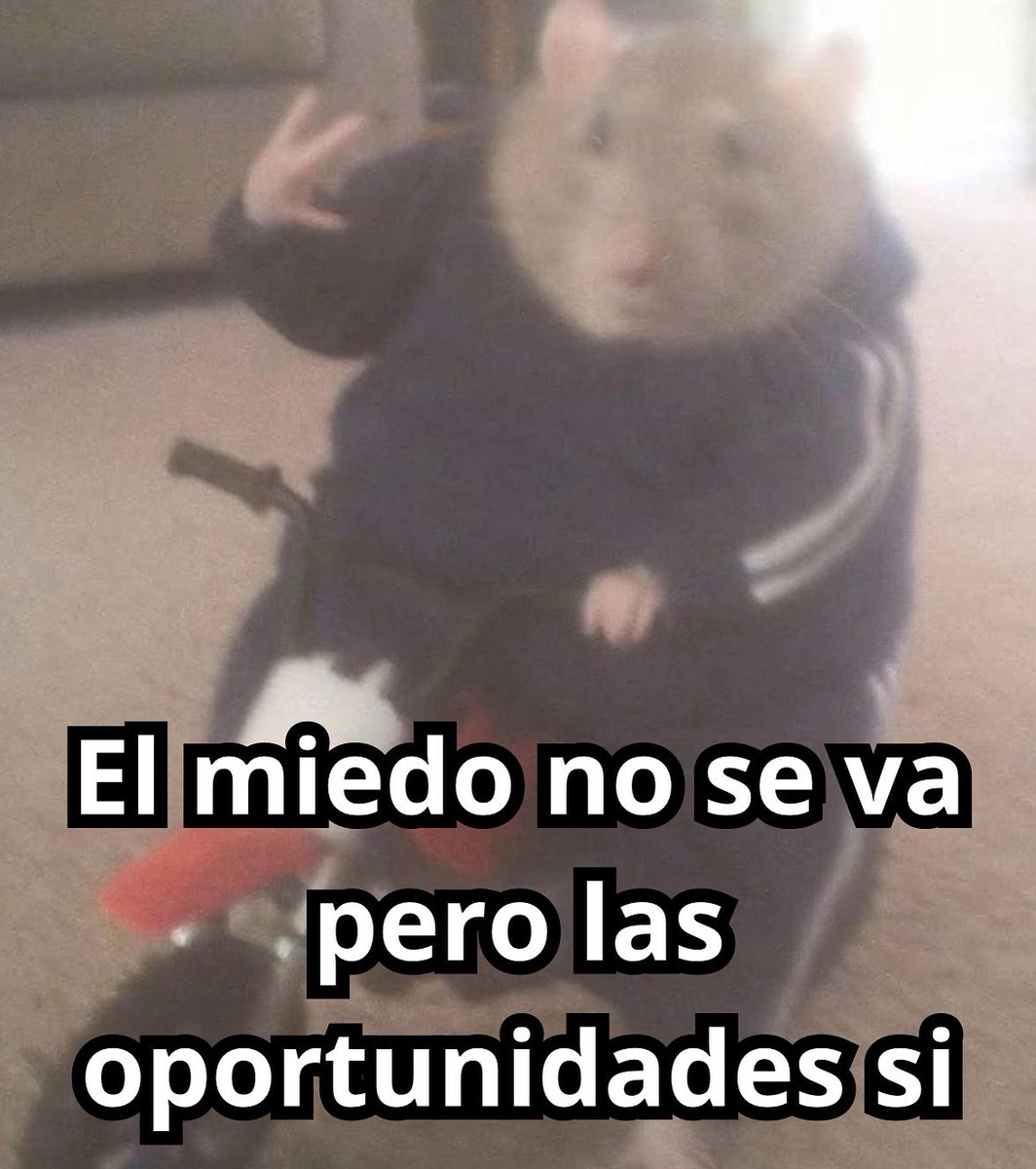 emociones amarillas (@conoloracigarro) on Twitter photo 