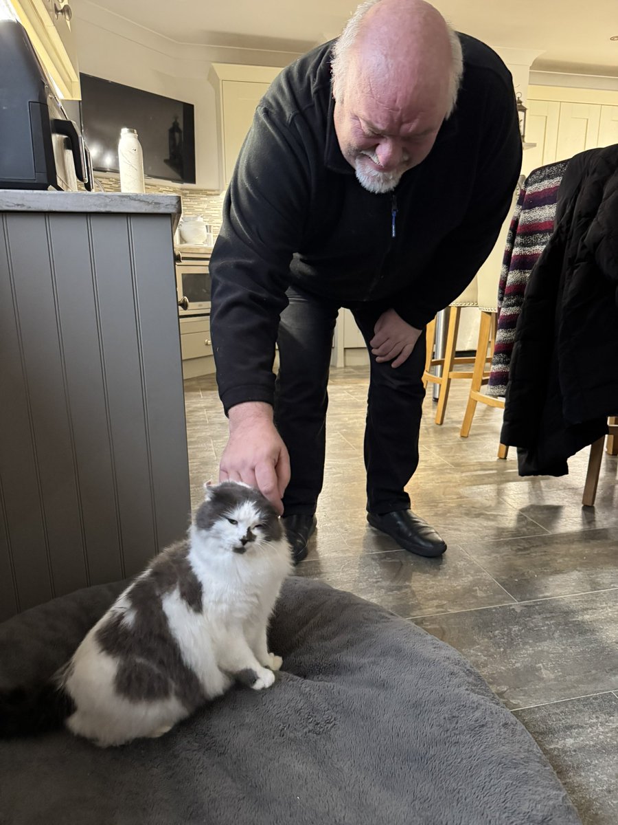 SpanielsSuper's tweet image. IMPORTANT ANNOUNCEMENT 

Look who has ventured inside ♥️

Soaking wet &amp;amp; freezing cold she allowed me to pick her up, wrap her in a warm towel &amp;amp; snuggle her dry 
We sat cuddling until she was completely dry, then she lay by the radiator &amp;amp; had a fuss from dad to be 🤞
She had some