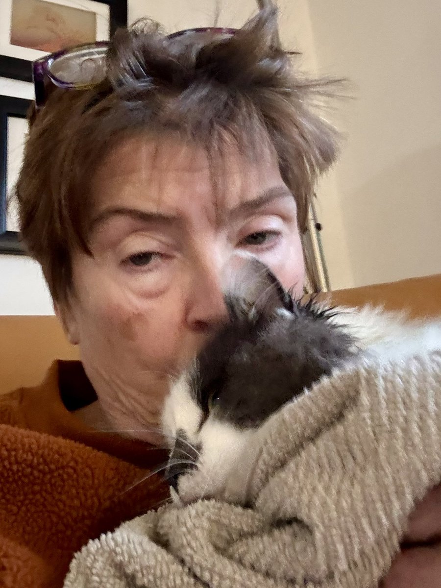SpanielsSuper's tweet image. IMPORTANT ANNOUNCEMENT 

Look who has ventured inside ♥️

Soaking wet &amp;amp; freezing cold she allowed me to pick her up, wrap her in a warm towel &amp;amp; snuggle her dry 
We sat cuddling until she was completely dry, then she lay by the radiator &amp;amp; had a fuss from dad to be 🤞
She had some