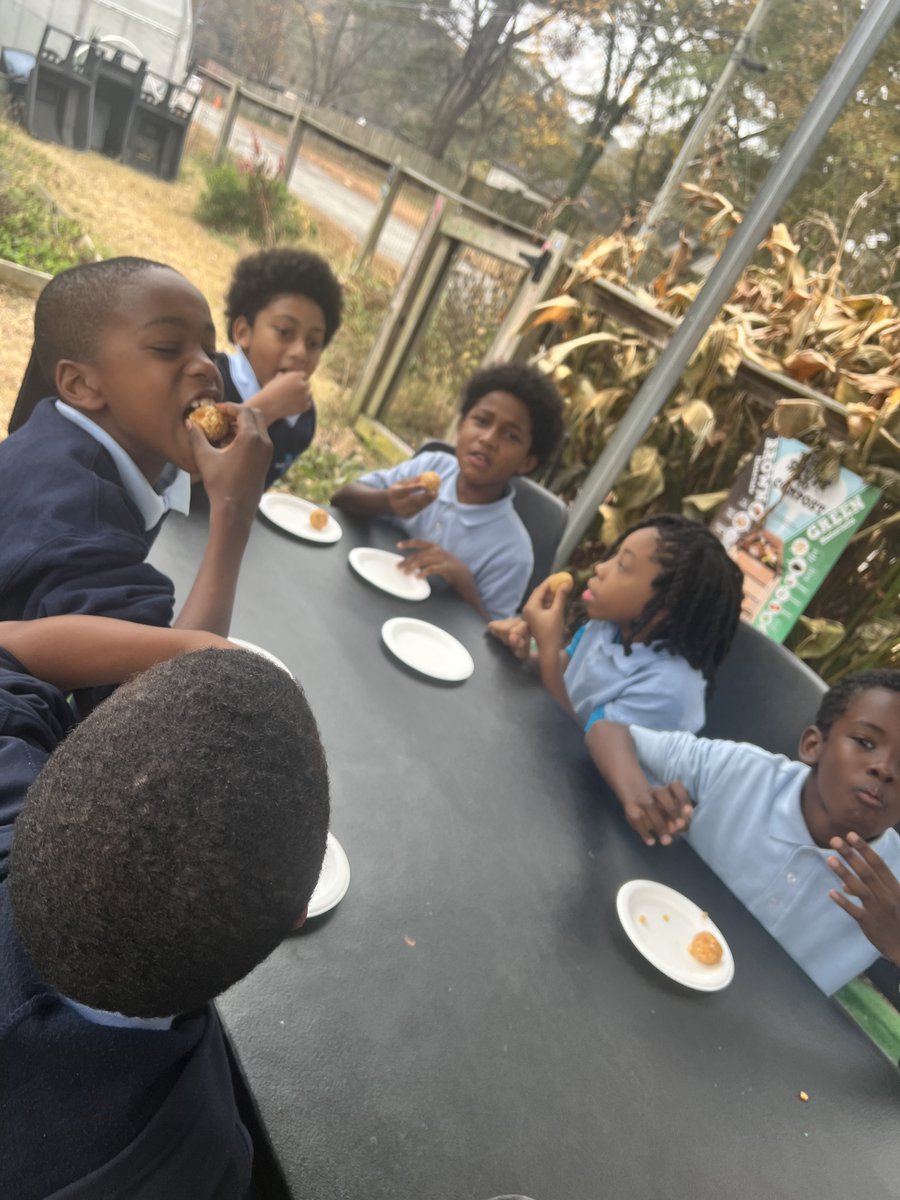 Hand, Heart, and Soul Project tweet media