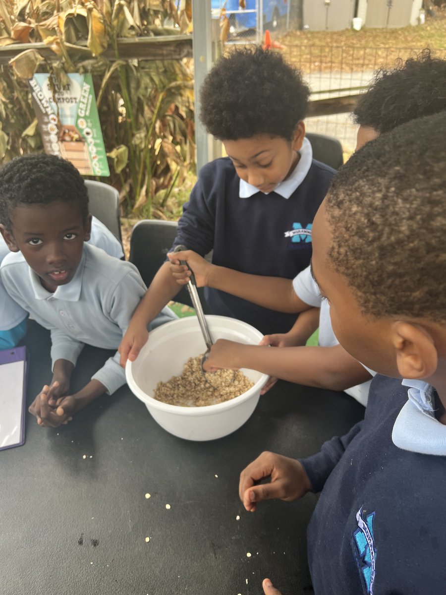 Hand, Heart, and Soul Project tweet media