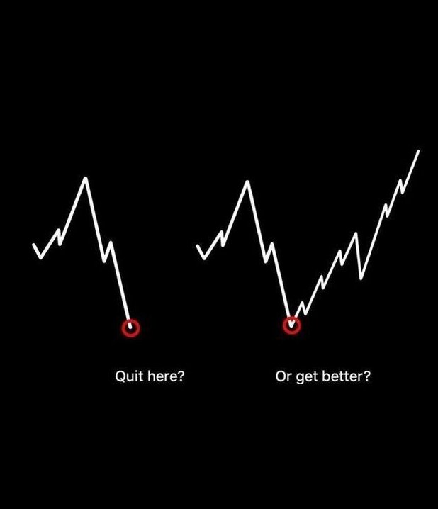 Hodl tweet media