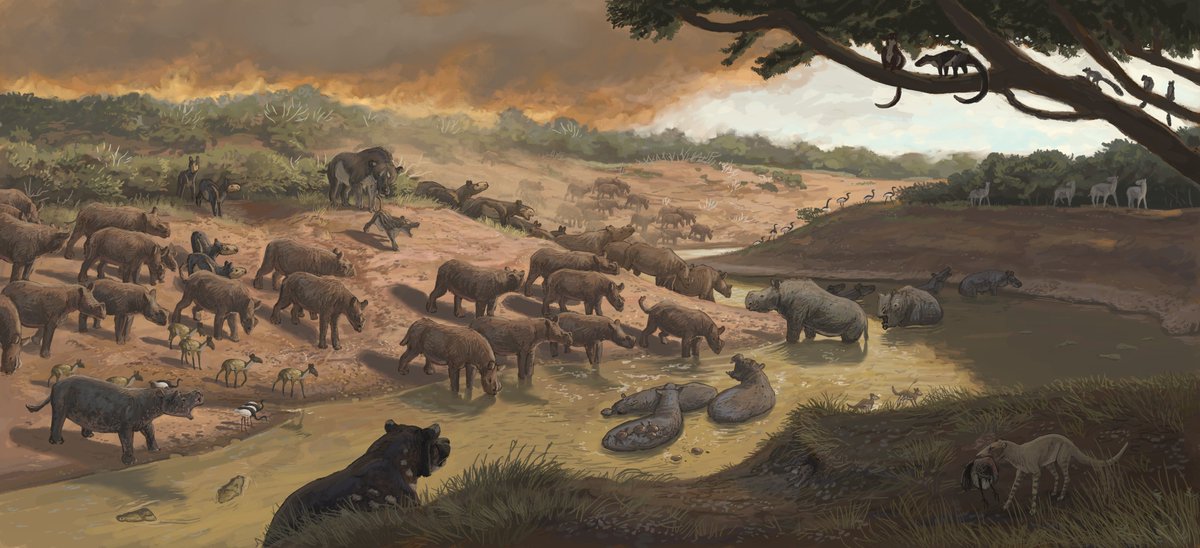 Joschua Knüppe tweet media