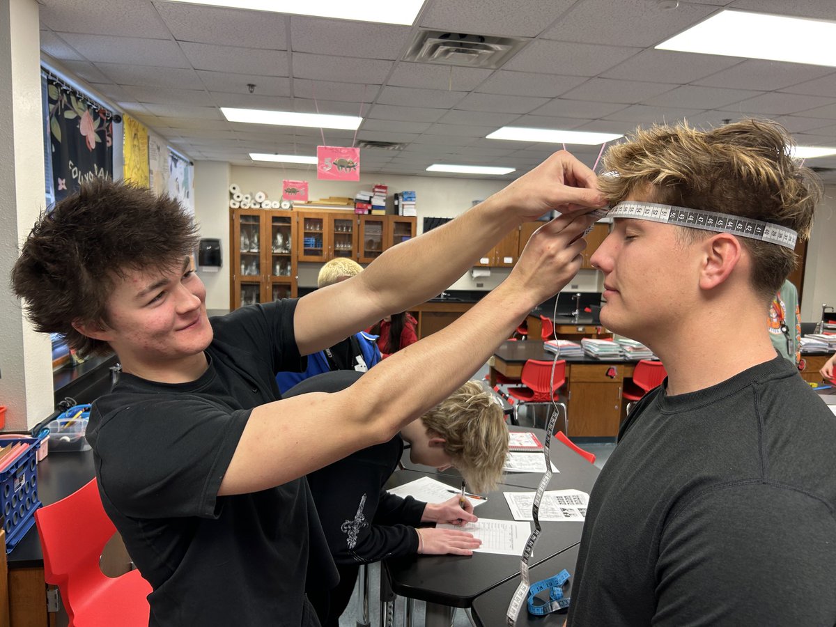 Amanda McCready tweet media