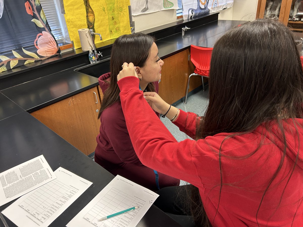 Amanda McCready tweet media