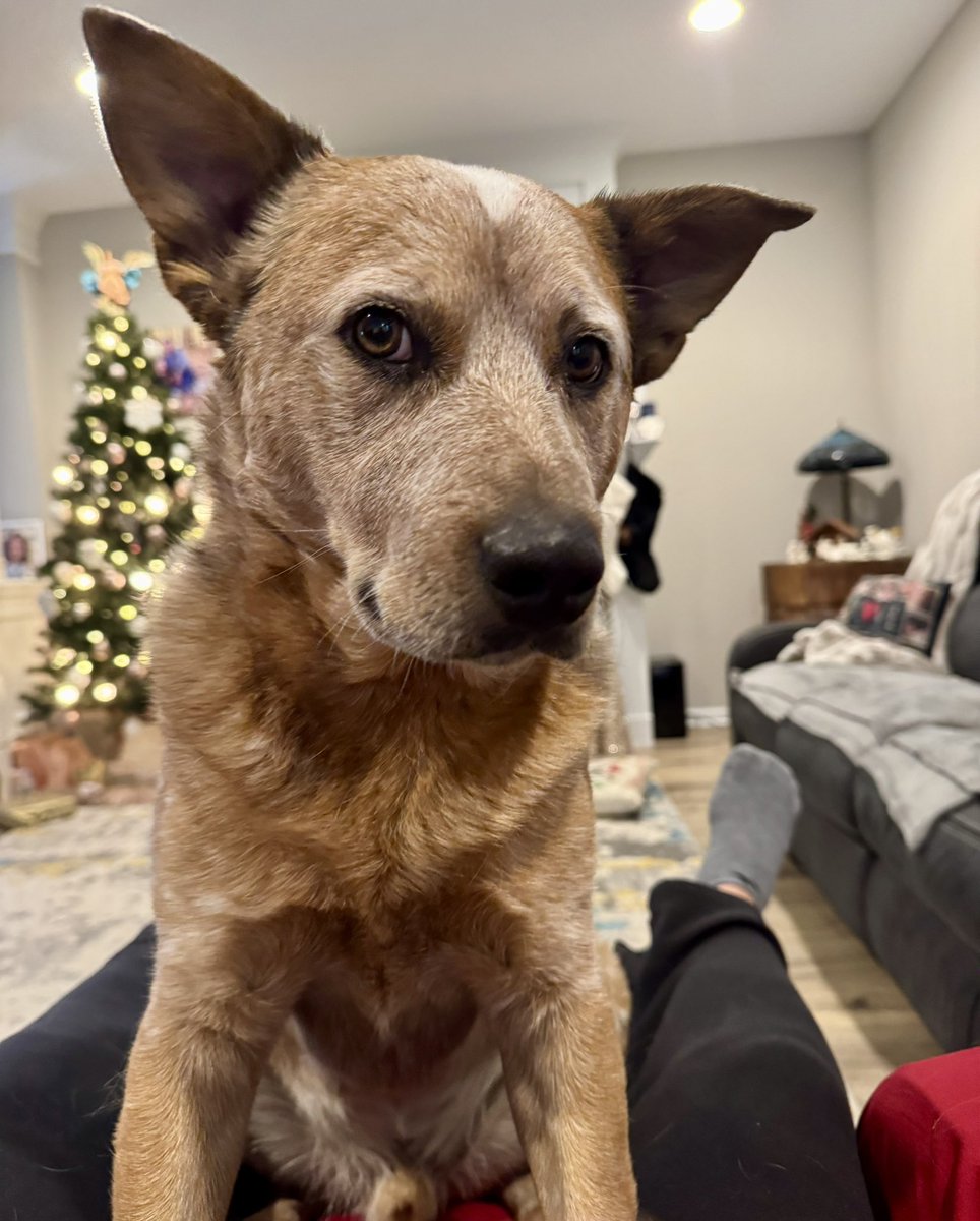 Chad Allen tweet media