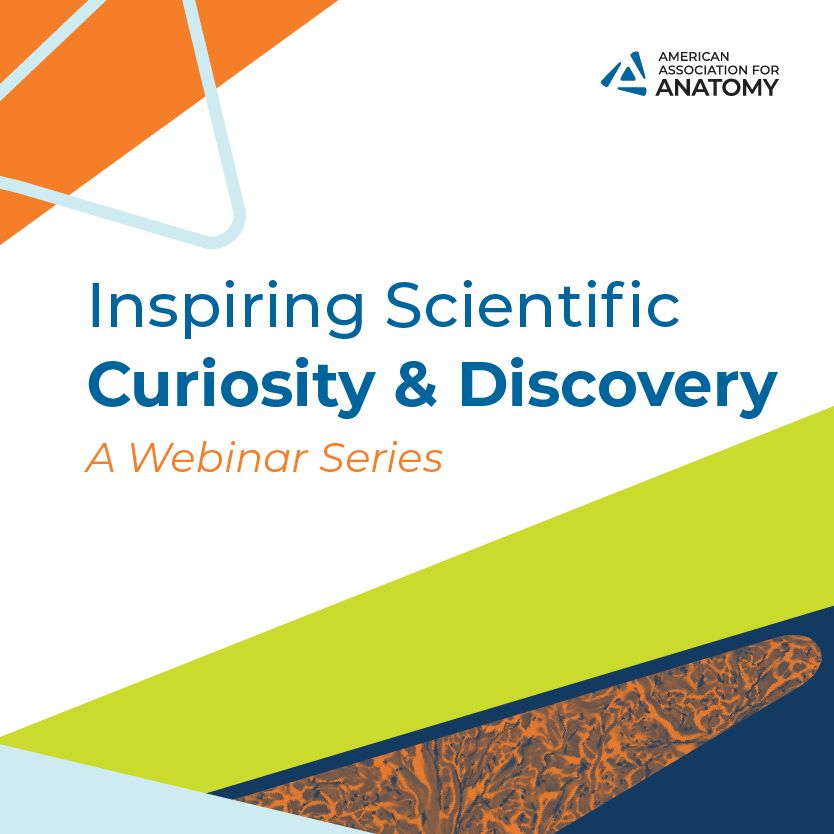 American Association for Anatomy tweet media