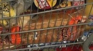 D2hander 🇨🇦🔺 tweet media