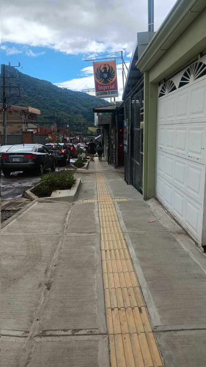LadyMacetas's tweet photo. Para todos los troles amantes de las macetas, así van las obras en Tres Ríos. Las macetas están dando paso a jardineras permanentes, las aceras ahora son más anchas y no tienen gradas, las intersecciones son más compactas, lentas y seguras.

Gran proyecto, dedicado a los troles. https://t.co/OS1Brq04tT