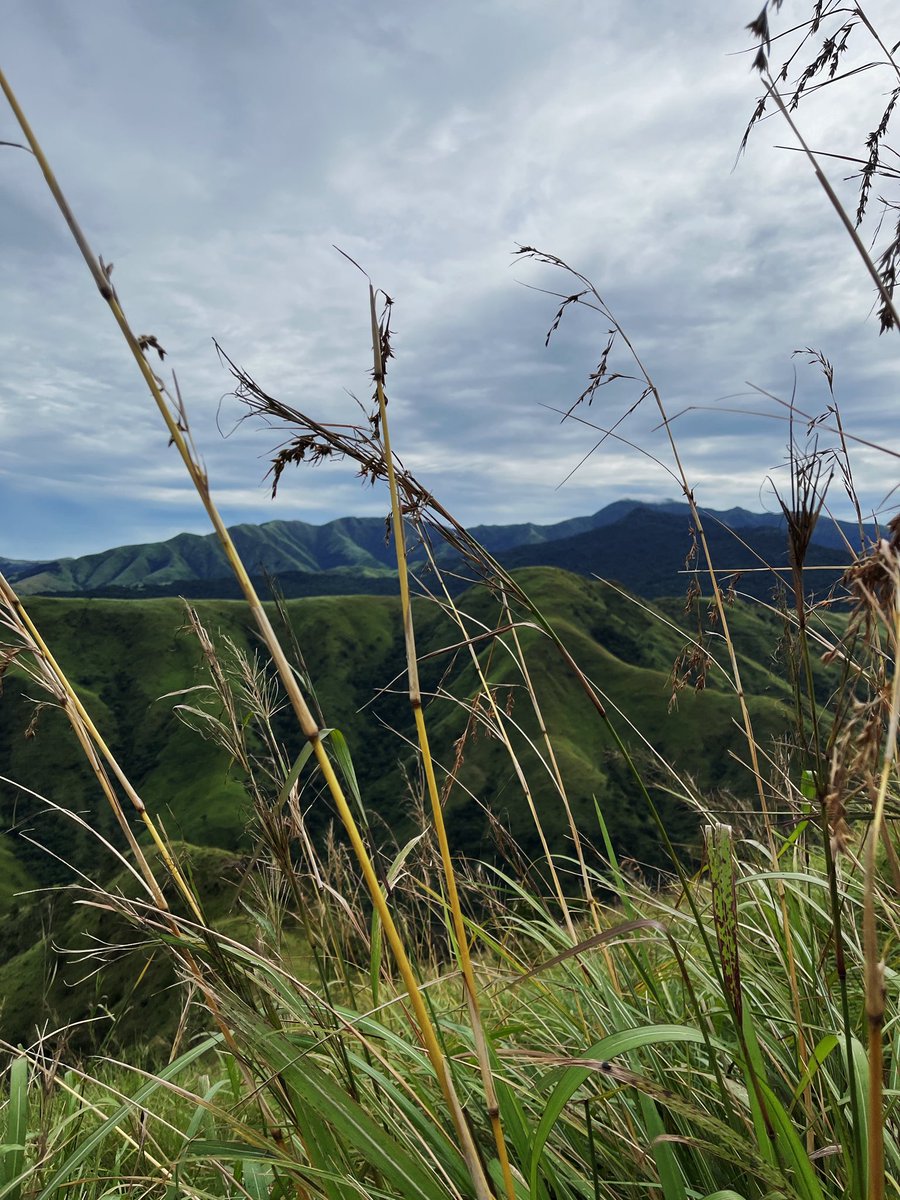 jfmt07's tweet photo. Hike at Mt. Mariglem in Zambales last September. Fourth hike for the year 2025. 🙌🏻 Happy to be just out there. https://t.co/uRoRbrtiq3