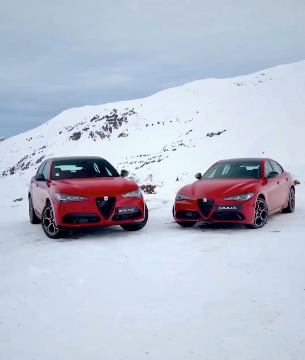 Performance Alfa Romeo tweet media