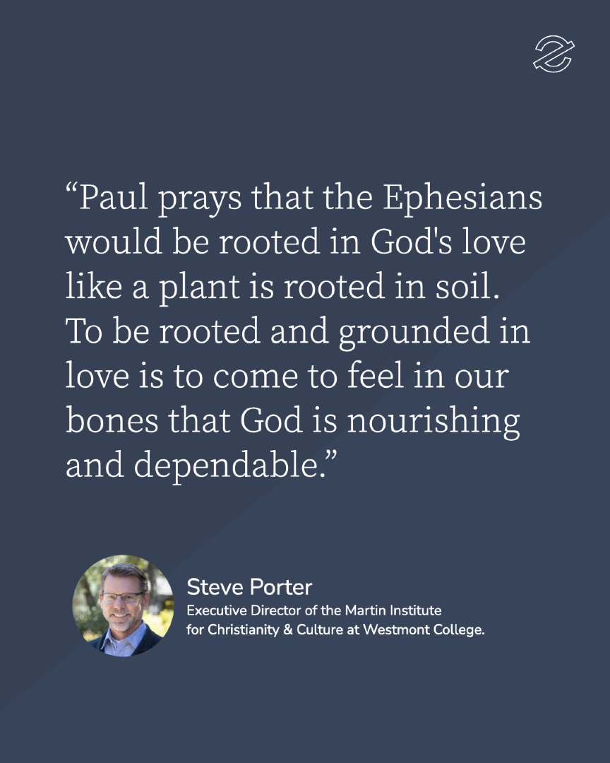 Eden Project tweet media