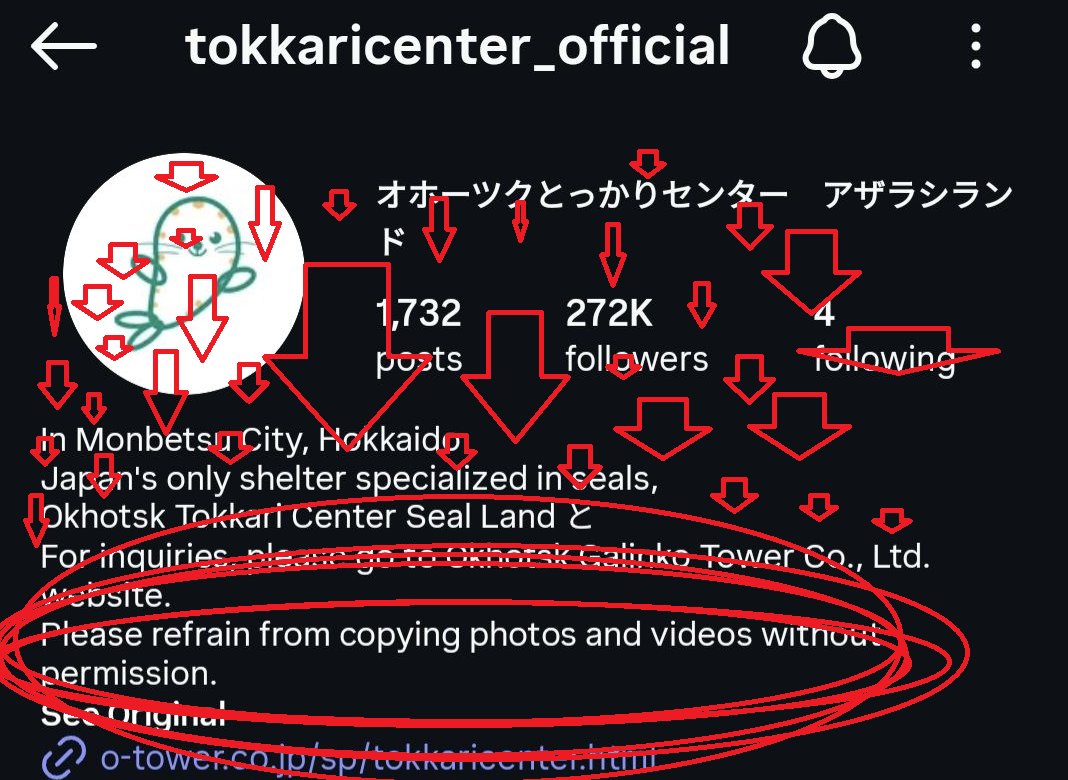 peebo weebo 🦭 tweet media