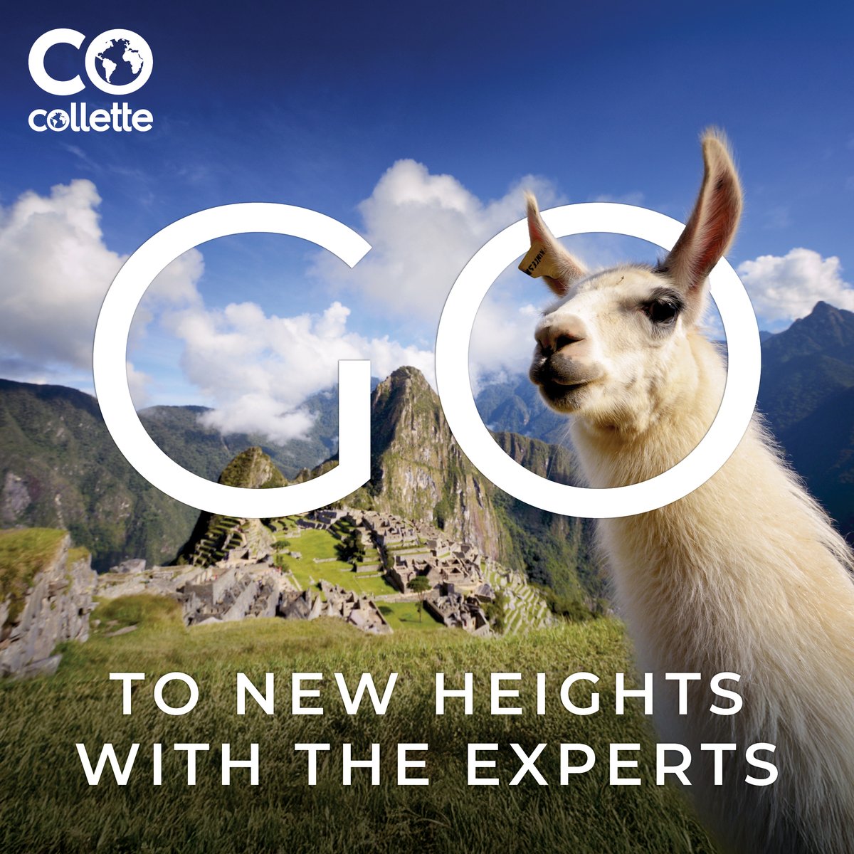 SMMConference's tweet image. Experience the Difference. When you choose Collette, you’re not just booking a trip—you’re unlocking a journey designed by in-destination experts who know every hidden gem and cultural nuance. So you can focus on what matters most. — Learn More: gocollette.com/groups