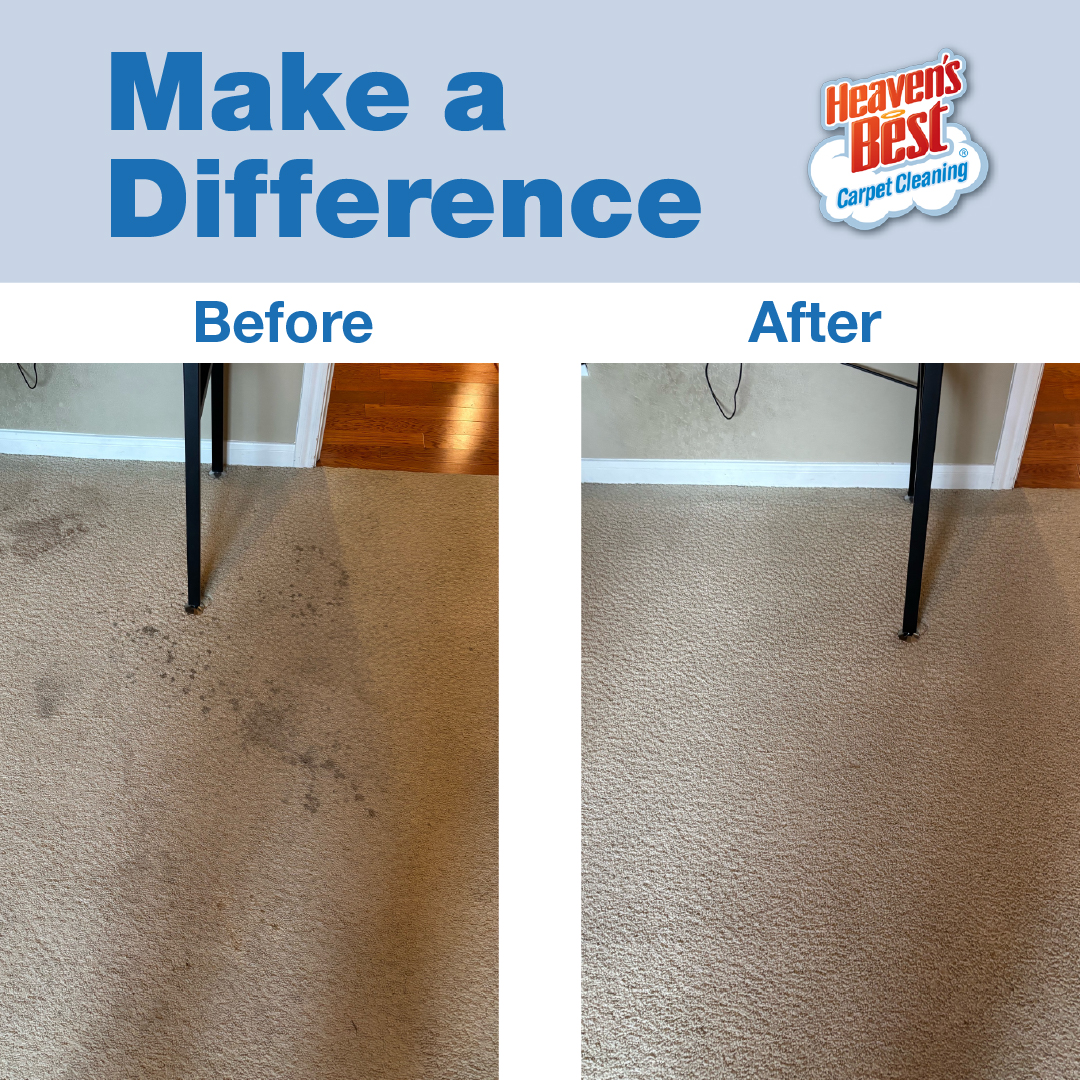 In the dullness of winter, brighten up homes in your county! Open up a franchise and share the light of the season with your neighbors. ❄️✨

#HeavensBest #FranchiseOpportunity #CarpetCleaningBusiness #MakeADifference 
#Brightenhomes #JoinHeavensBest #BusinessOwnership