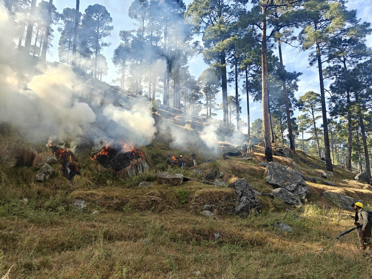 VaibhavSinghIFS's tweet image. As part of the training of the Officer Trainees of 38th SFS Batch from @casfosddn,today I had the opportunity of conducting a session on #wildfires.During the day long session the OTs were apprised about different aspects of controlled burning along with live demonstration.