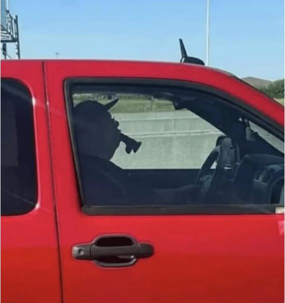 <a href="/LangmanVince/">Vince Langman</a> Imagine what this slow-witted fuckup daydreams about....
BTW, I saw him on the road yesterday...