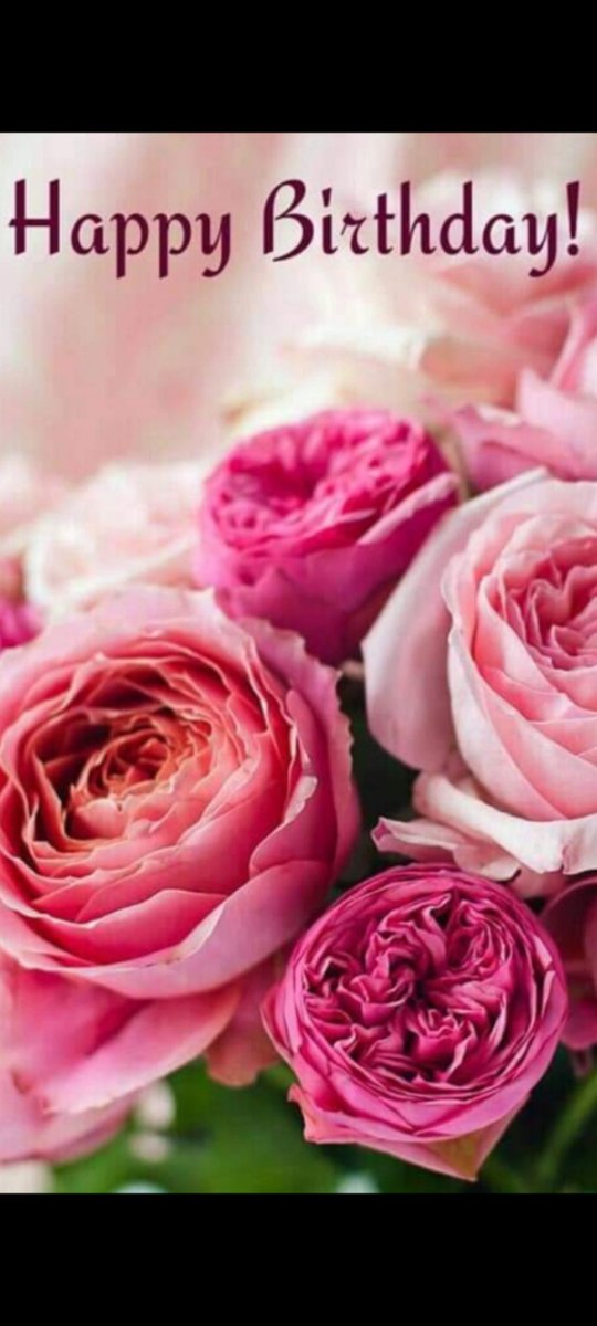 Addie K Miller tweet media