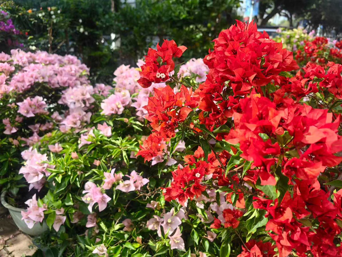 wdr2oversea (@wdr2oversea) on Twitter photo 