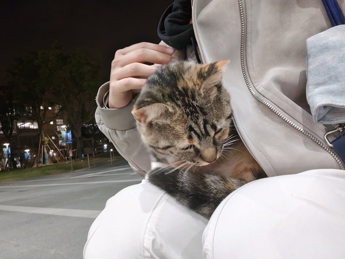 爵士豪猫
一看到我就和我贴贴
😙😙😙