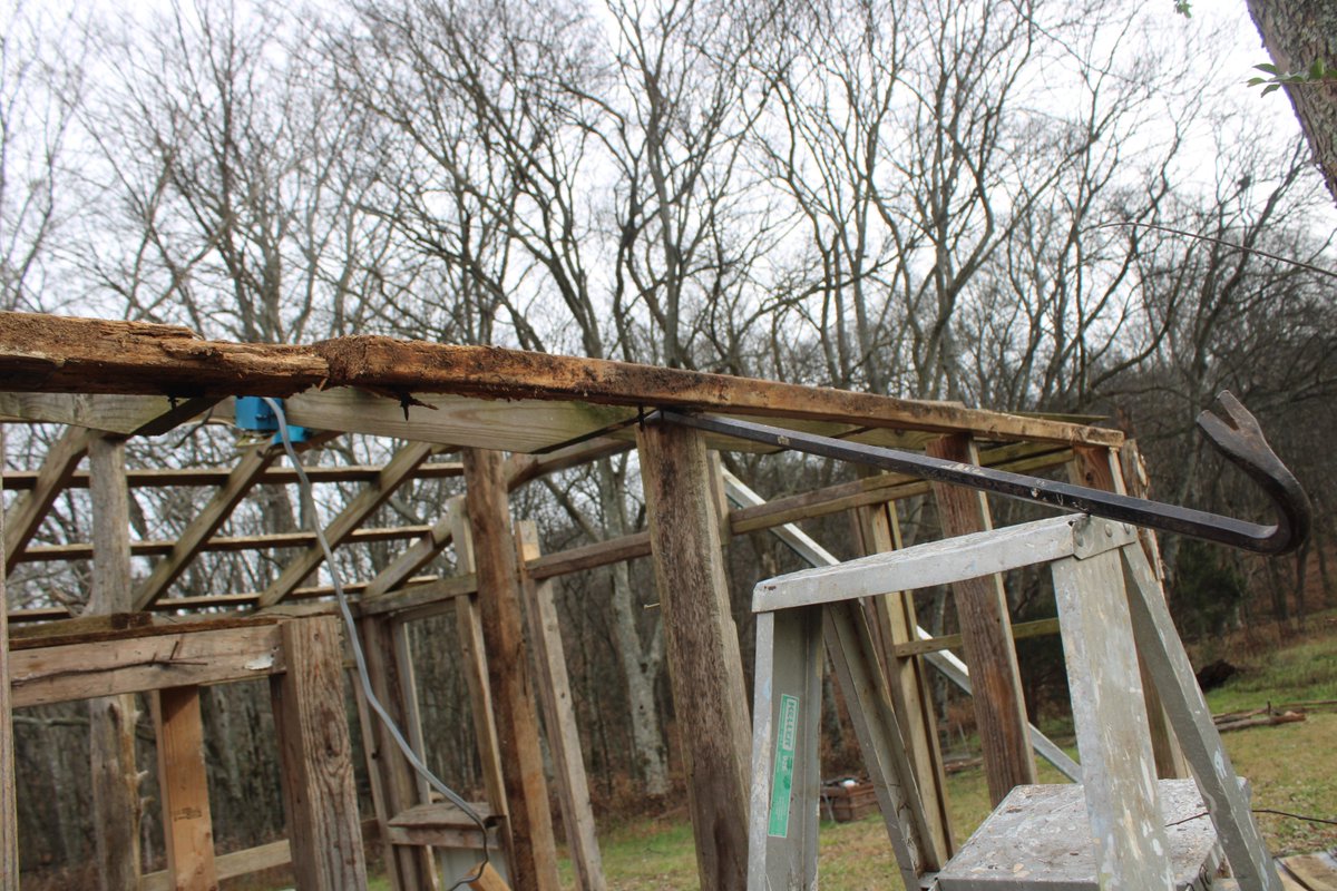 docsanderson's tweet image. #Scientists #Carpenter #RestorationProject #WildFireProtocol #Wolves @HeartsofHeroes_
@danpeckwx @Nature @Ginger_Zee Mags G, Got the Termite Damage Removed Roof Stable On Jacks REALLY Cold Beautifuls hands ACHE. but feels GREAT to get ths far. back to box to warm up Mwah DEEP Lee