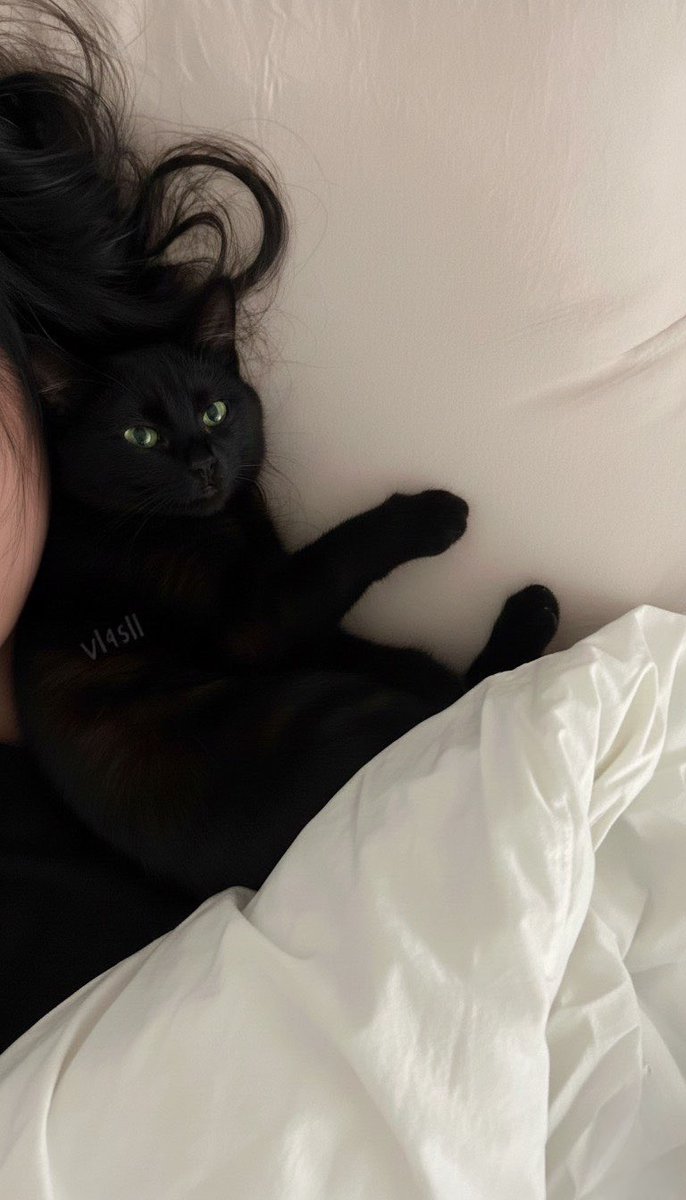 vl95ll's tweet photo. 🐈‍⬛🖤 https://t.co/uKDh9GOg7C