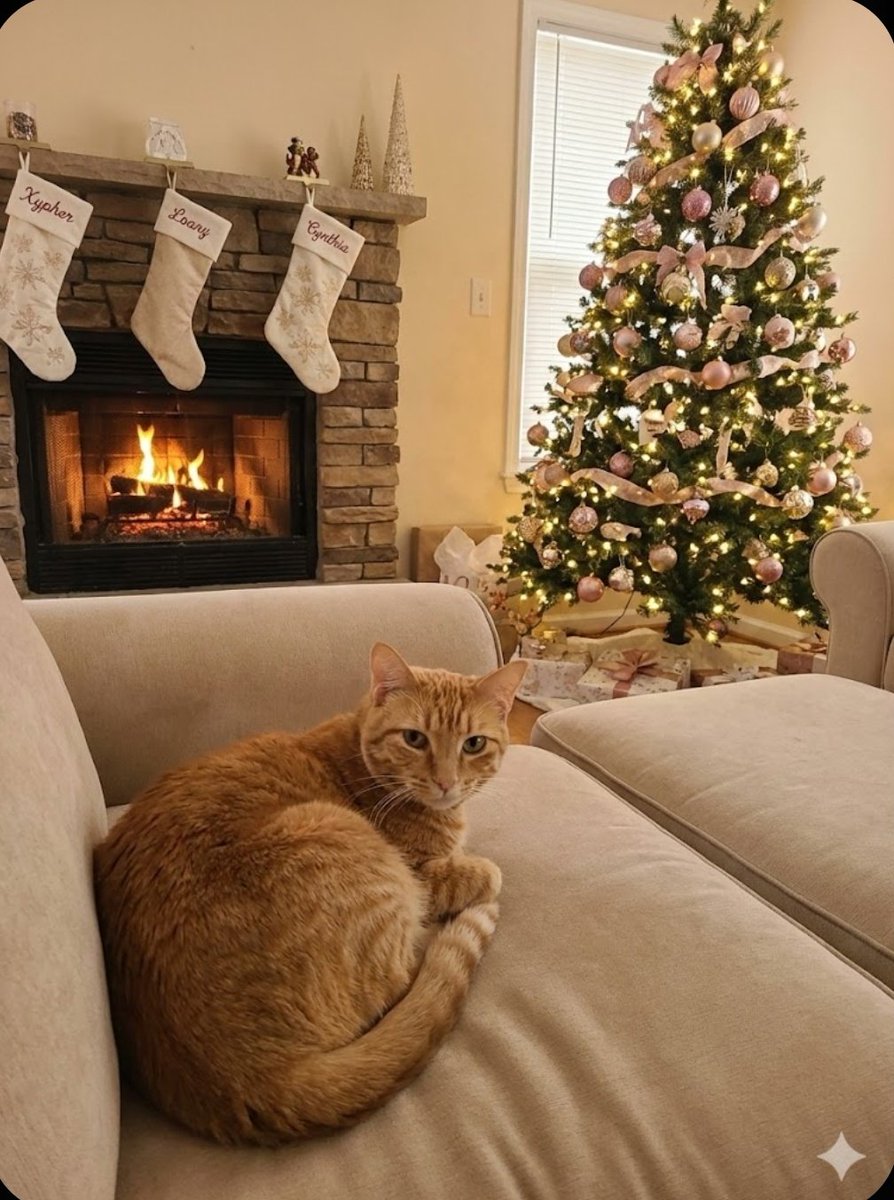 Bienvenido Diciembre 🎄 filiz inicio de semana amikos