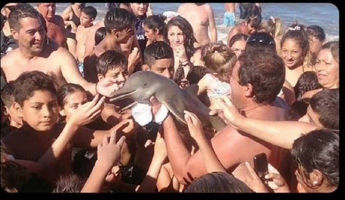 IMAGENES DE ROSALIA AHORA EN SANTA TERESITA