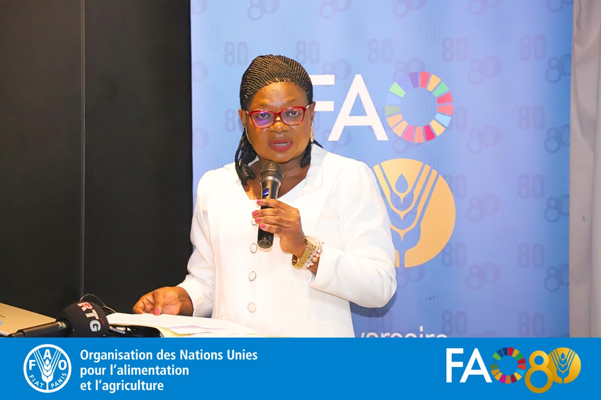 🇬🇳 #FAO &amp; Ministère de la #Pêche mobilisent les partenaires pour un secteur halieutique durable
Objectif, mettre en œuvre le Plan Stratégique Halieutique 23-27 pour renforcer la gouvernance, créer des emplois &amp; garantir la sécurité alimentaire.

#PêcheDurable 
#ODD2
#4betters