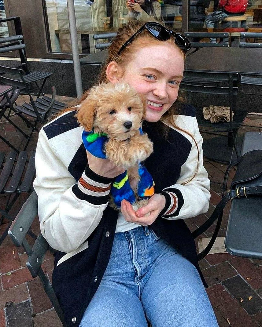 filmschastain's tweet image. hiii