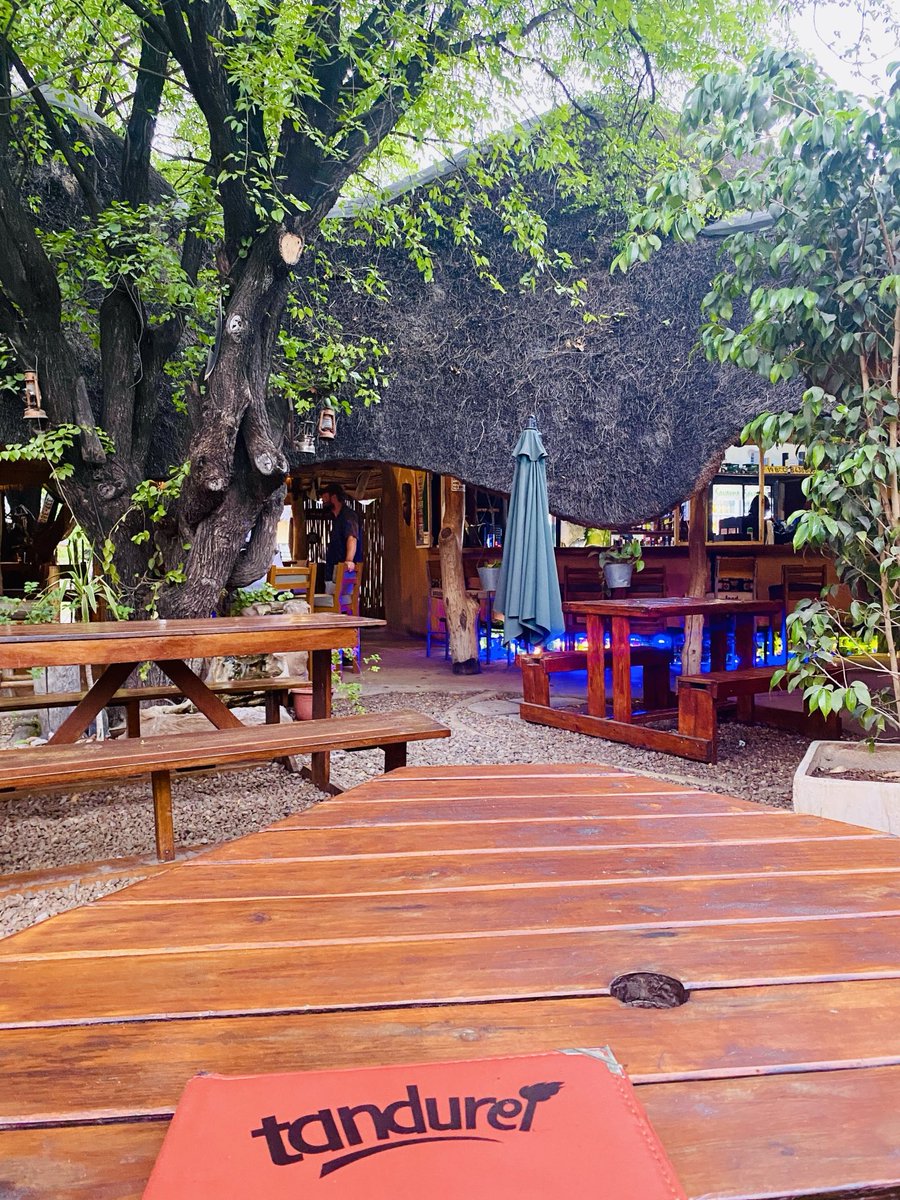 lala_shalom's tweet image. 📍