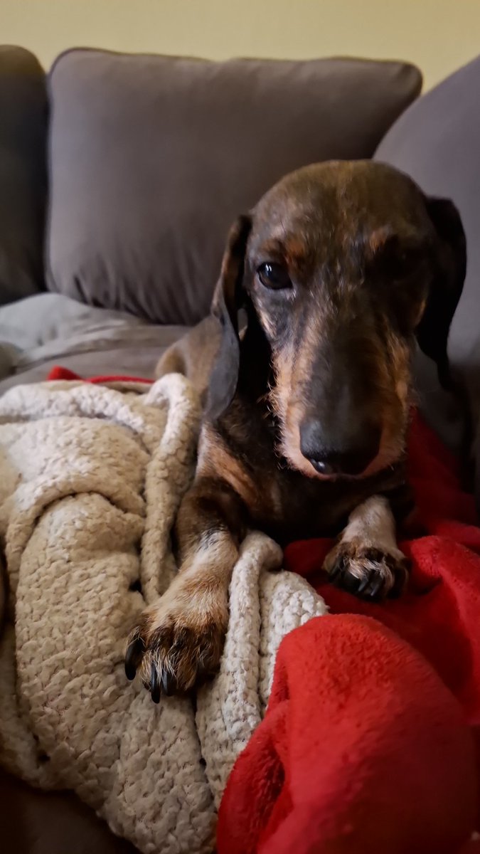 Er ist gegangen 😭