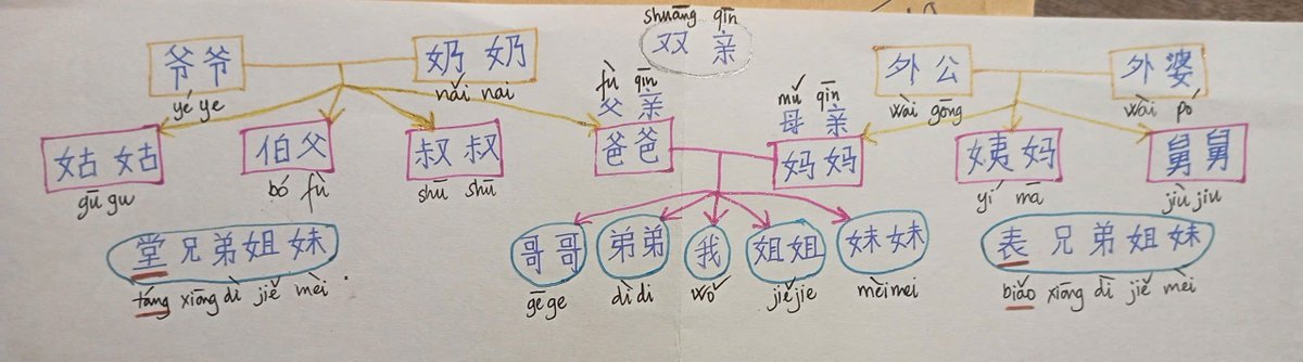 learnWithMiro's tweet image. Here’s the image for Chinese family terms (3 generations)
Paternal (dad’s side): specific – 爷爷, 奶奶
Maternal (mom’s side): grouped – 外 with 外公，外婆, 
Cousins: 堂 (same surname), 表 (different surname)
One look, no more confusion! Check below 👇 #LearnChinese #ChineseFamily