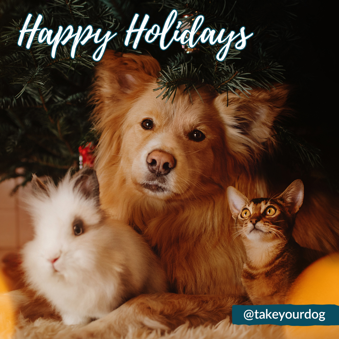 Take Your Dog To Work Day tweet media