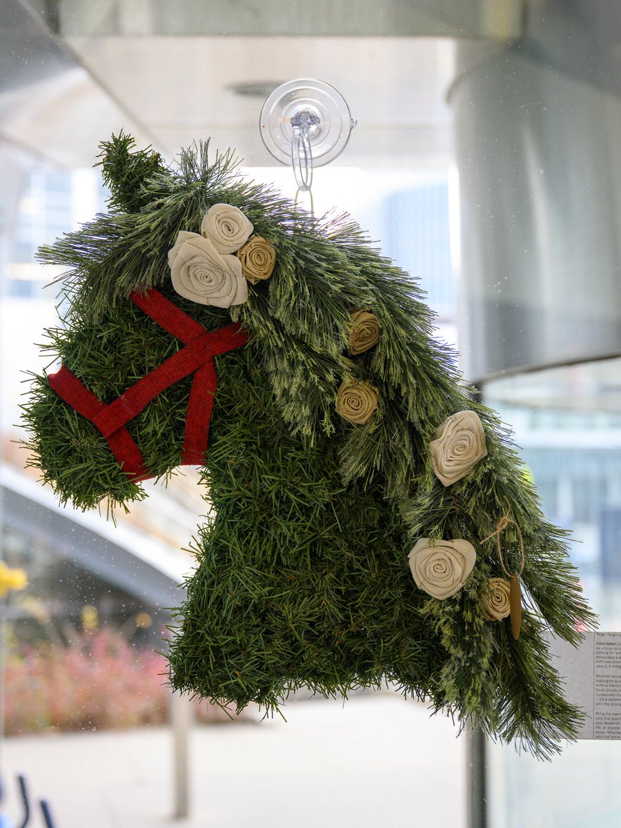 UVA Comprehensive Cancer Center tweet media