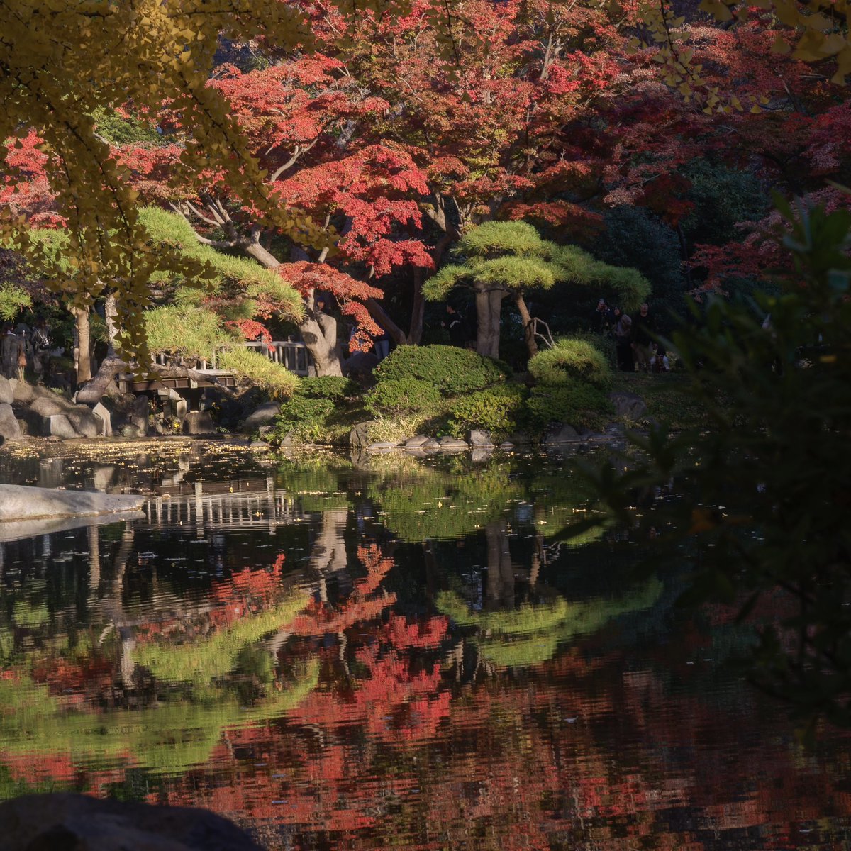 kucha0311's tweet photo. 日比谷公園 https://t.co/rVPXANKBuZ