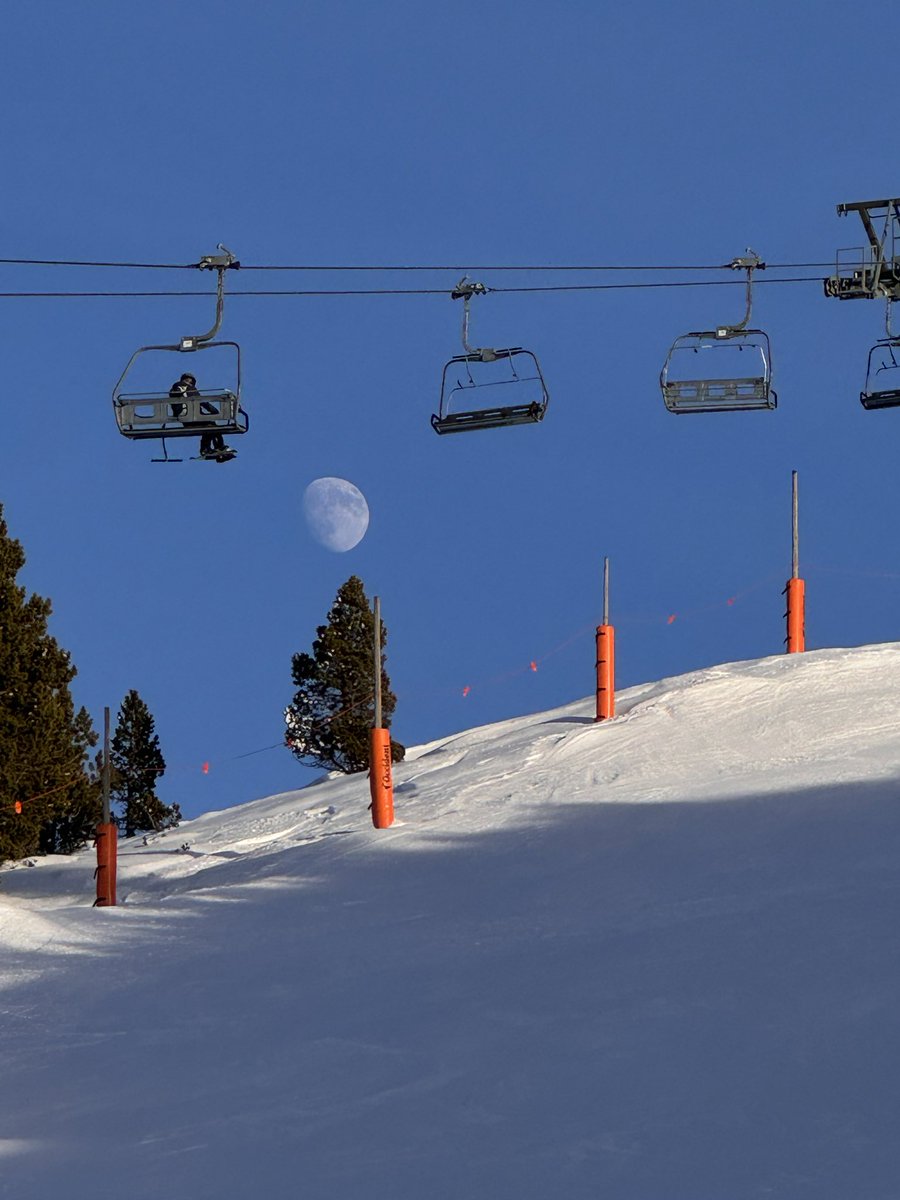 alc2022's tweet image. Enjoy. There’s lots of winning coming.