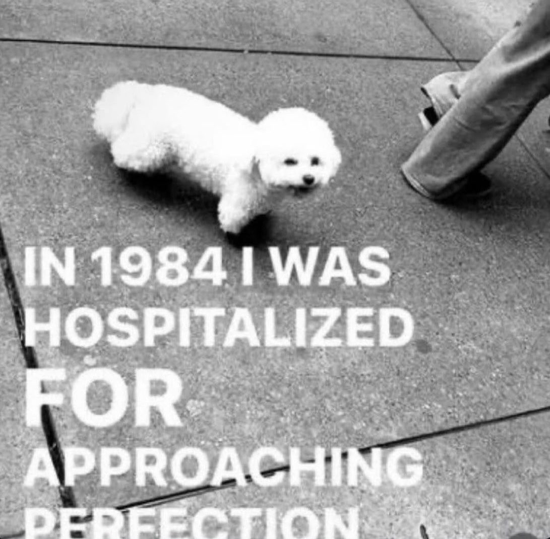 Dogelol234's tweet photo. @sarriebearrie rip https://t.co/4VHnUKsNGk
