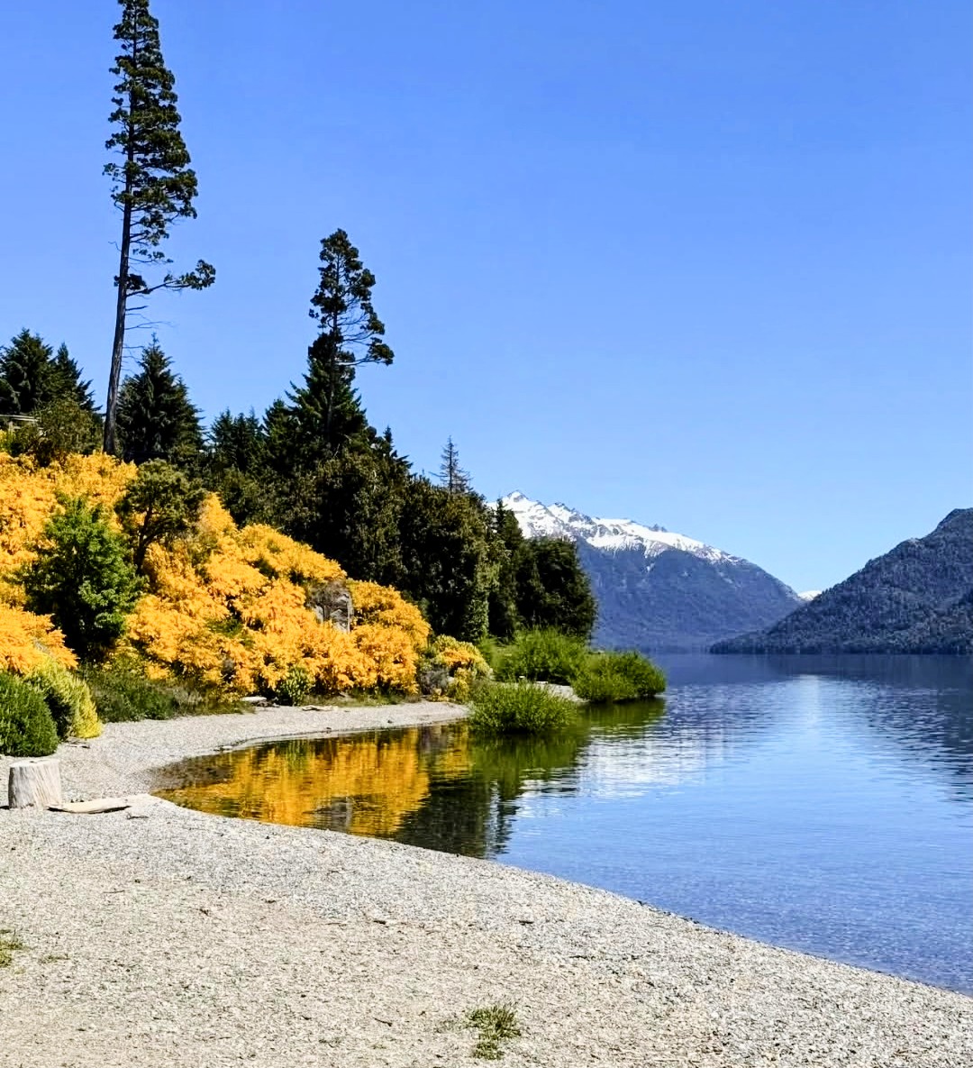 lfsur's tweet image. ¡Felices 89 años hermosa Villa Traful! 🎂🥂❤️
Patagonia 🇦🇷🧉☀️🍀
