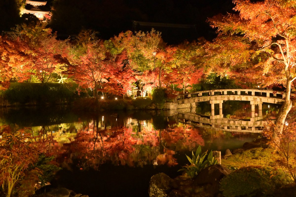 無編集はこんな感じ、どっちが好き？