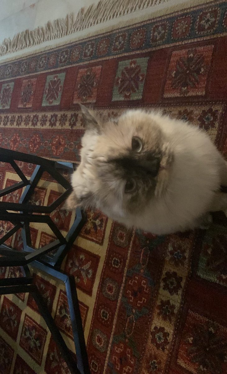 im1he's tweet image. 😓